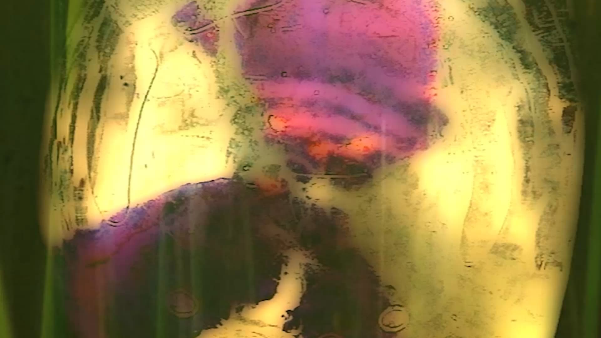 An abstract, colorful image with purple, yellow, and green hues creating a textured, blurry appearance.