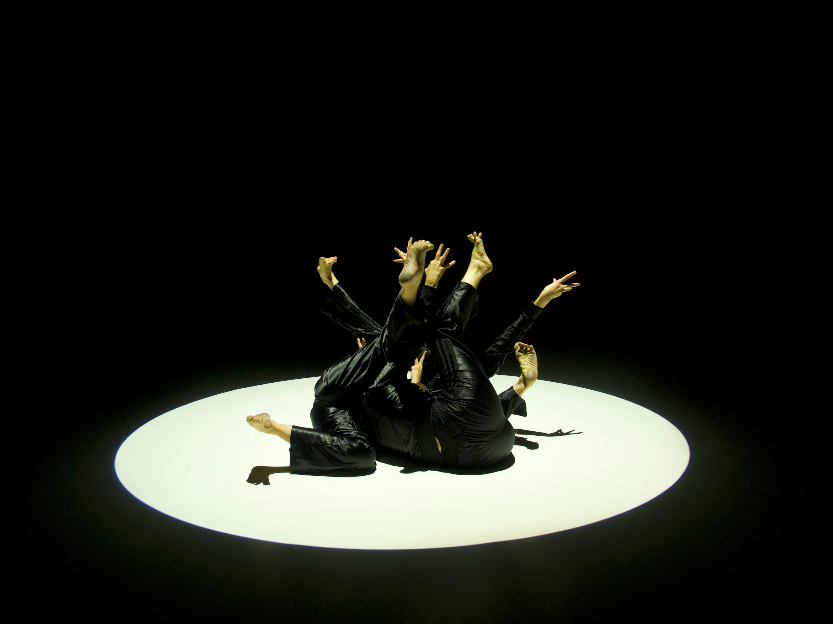 Performers in black outfits are intertwined in a spotlight, with arms and legs reaching upwards against a dark background.