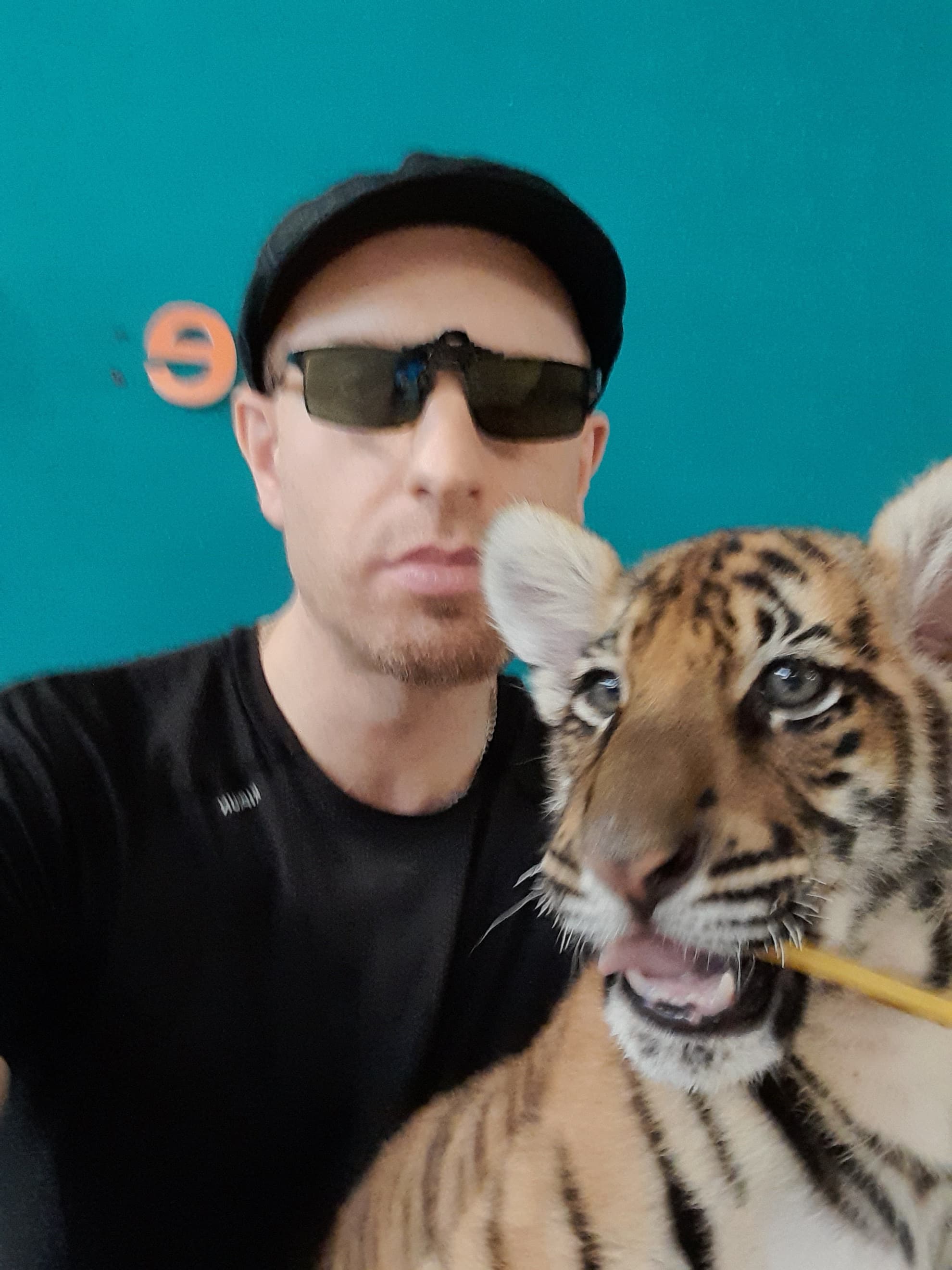 Daniel Rozenhall är sedan slutet på 1990-talet verksam vid EMS och Fylkingen i hjärtat av Stockholms experimentella musikscen och har spelat en solitär men viktig roll i Sverige sedan sin trio av album för Firework Edition Records och Kning Disk och samlingen "Rozenhall" mellan 2001-2009. År 2019 släppte han LPn ”Den Förföljdes Gryning” på iDEAL Recordings, som någon beskrev som "att utveckla några av de mest färgstarkt kaotiska och amorfa ljuden på den här sidan om Merzbow, Florian Hecker och Cam Deas". År 2023 kom LPn "Dance of the Aberrant" som gavs ut av det brittiska skivbolaget Adaadat i samarbete med Firework Edition Records i Sverige, och som kort därefter följdes av en turné i Japan tillsammans med ett showcase av olika artister från Adaadat.