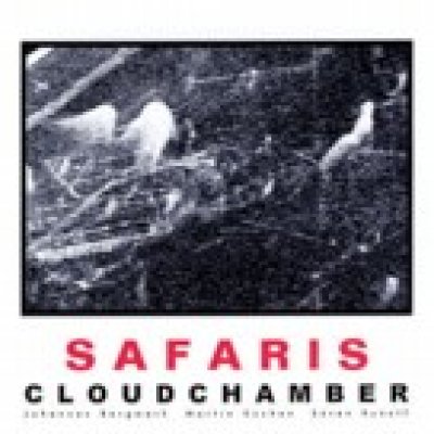 FYCD 1020 - Cloudchamber "Safaris"