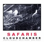 FYCD 1020 - Cloudchamber "Safaris"
